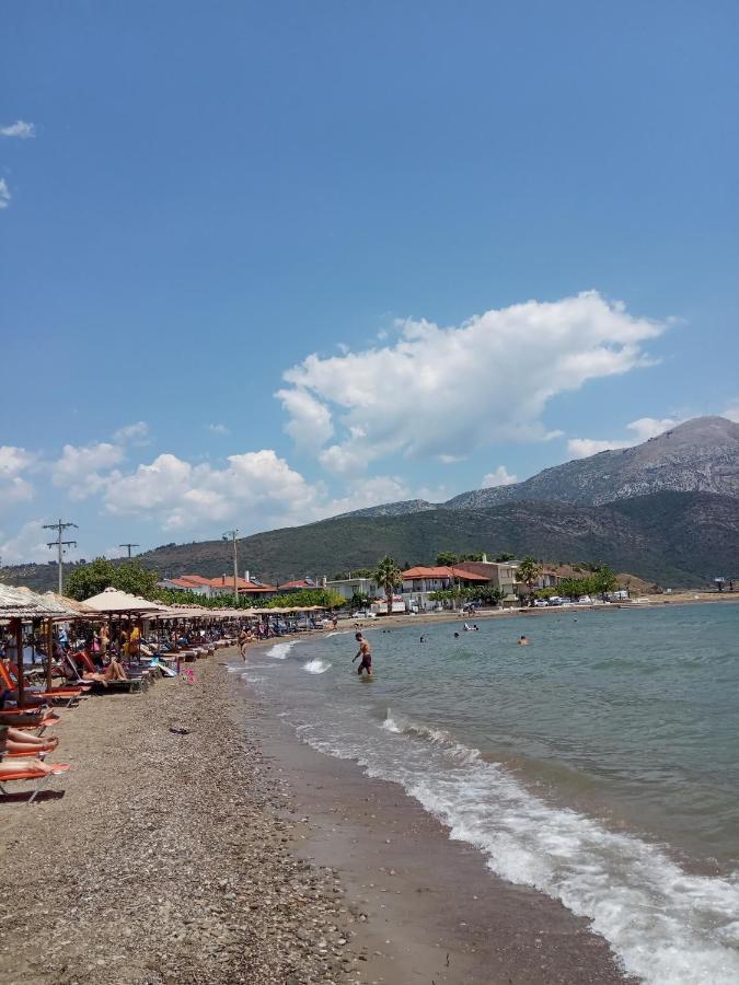 纳弗帕克托斯Πέτρινο Στη Θάλασσα公寓 外观 照片