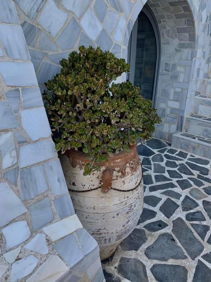 纳弗帕克托斯Πέτρινο Στη Θάλασσα公寓 外观 照片