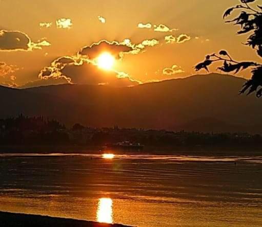 纳弗帕克托斯Πέτρινο Στη Θάλασσα公寓 外观 照片